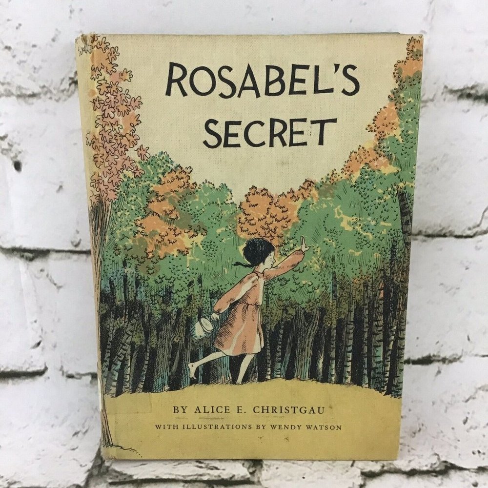 Rosabel’s Secret By Alice E. Christgau Illustrated Hardback Exlibrary VTG 1967